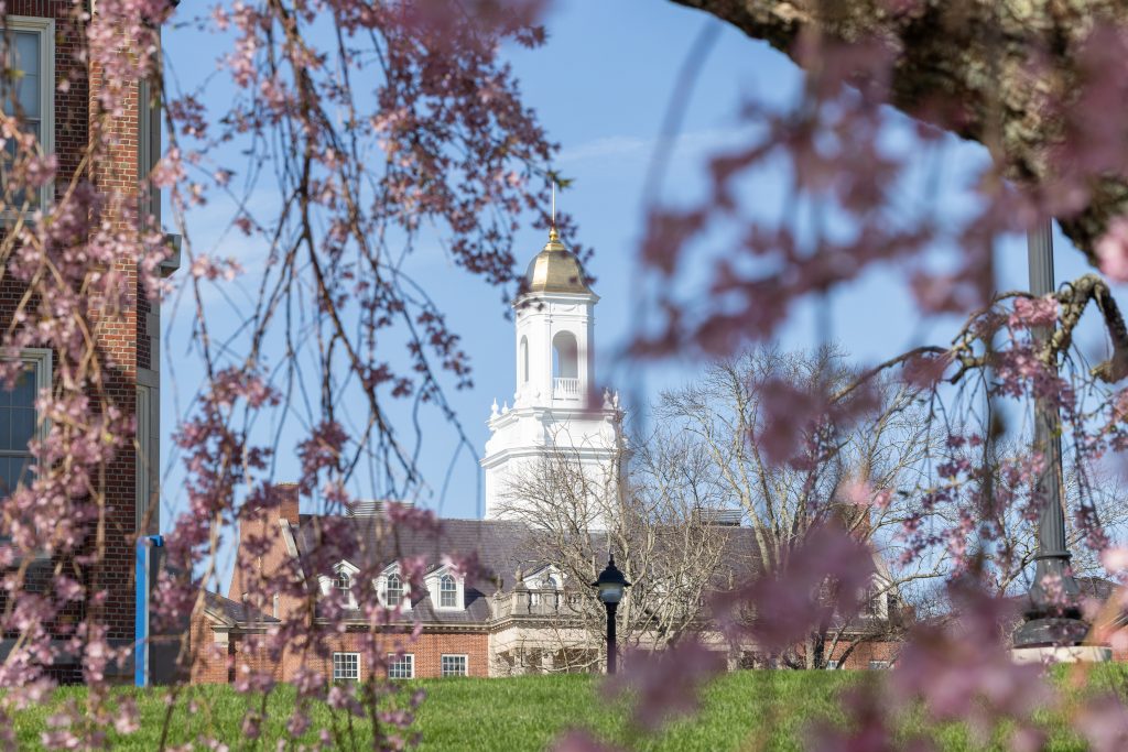 Wilber cross building through blooms