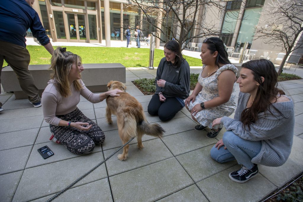 UConn Hartford students petting a dog in the courtyard. April 13, 2022. (Sean Flynn)