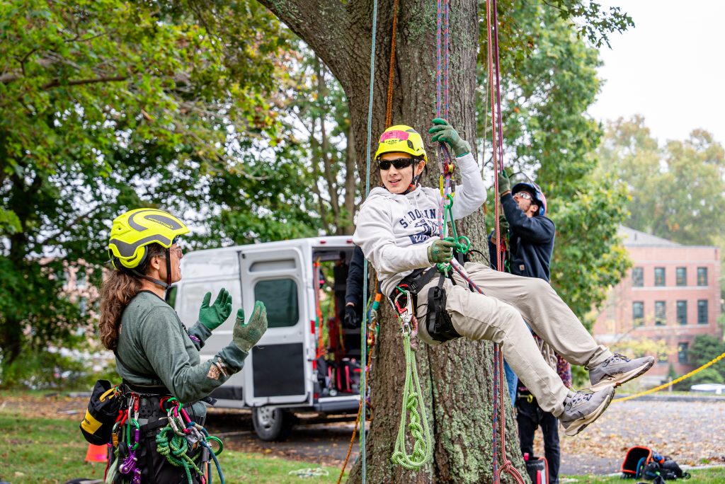 Students practice climbing trees with rope and saddle as part of the Fundamentals of Arboriculture (NRE 3425) course taught by Shawn Lappen, facilities manager at UConn. The course is offered through the Department of Natural Resources and the Environment (NRE) in the College of Agriculture, Health and Natural Resources (CAHNR). Oct. 14, 2025. (Jason Sheldon/UConn Photo)