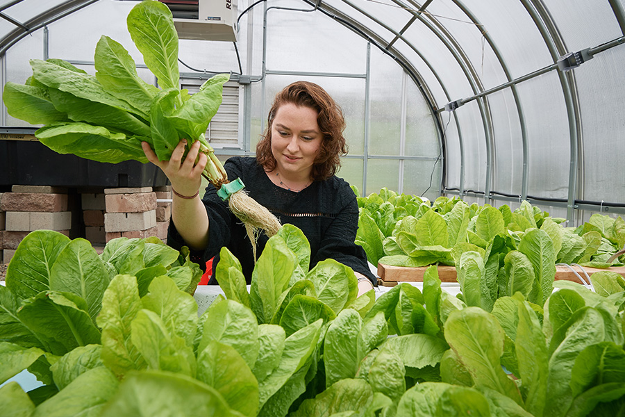 Ratcliff greenhouse